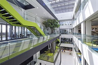 揭秘基金交易員 從圖書館到網(wǎng)絡(luò)技術(shù)研發(fā)的辦公革命